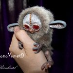 Хоко Дорси. Авторское существо от Бернкастель