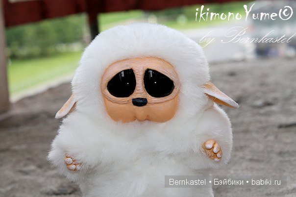 Морская свинка Стюша и еще несколько новых существ