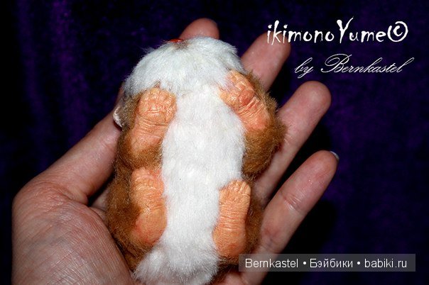 Морская свинка Стюша и еще несколько новых существ