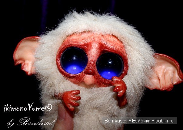 Морская свинка Стюша и еще несколько новых существ