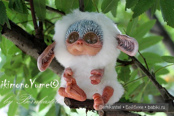 Морская свинка Стюша и еще несколько новых существ (фото 6)