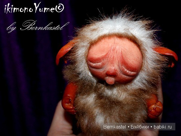 Морская свинка Стюша и еще несколько новых существ