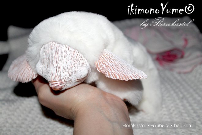 Морская свинка Стюша и еще несколько новых существ