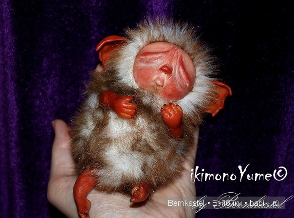 Морская свинка Стюша и еще несколько новых существ