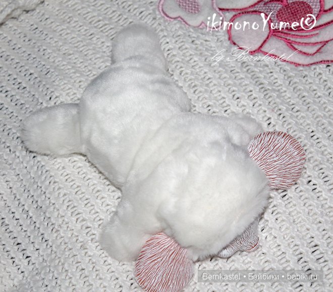 Морская свинка Стюша и еще несколько новых существ