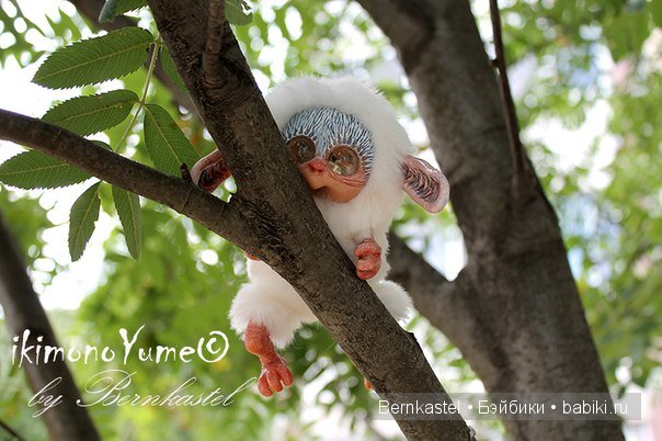 Морская свинка Стюша и еще несколько новых существ (фото 5)