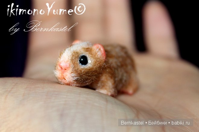 Морская свинка Стюша и еще несколько новых существ