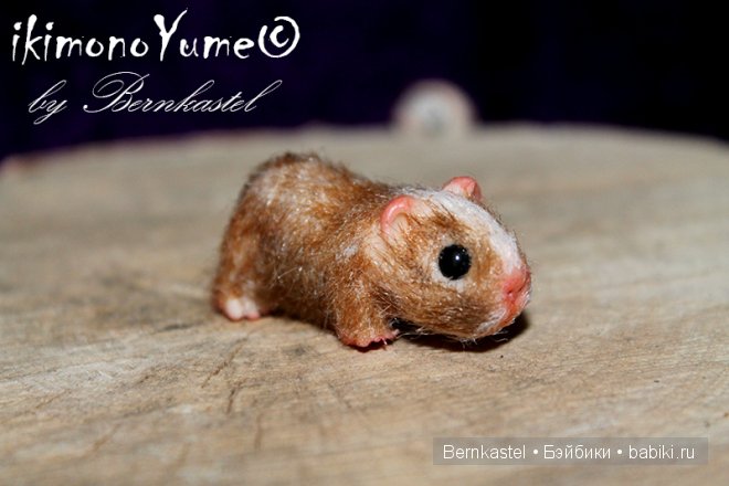 Морская свинка Стюша и еще несколько новых существ