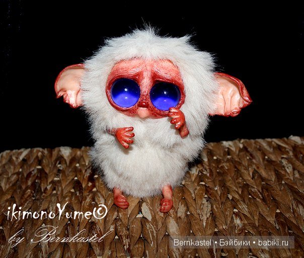 Морская свинка Стюша и еще несколько новых существ