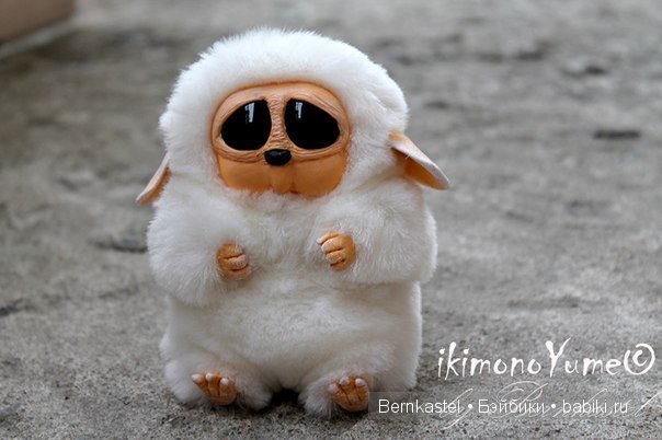 Морская свинка Стюша и еще несколько новых существ