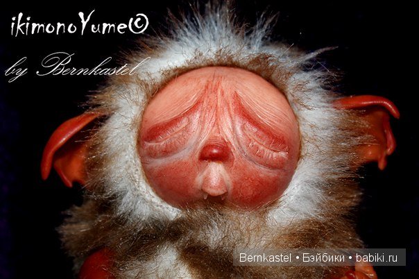 Морская свинка Стюша и еще несколько новых существ