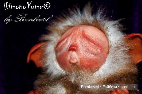 Морская свинка Стюша и еще несколько новых существ