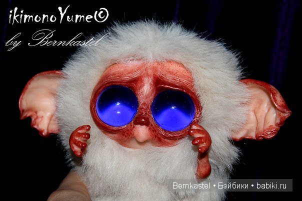 Морская свинка Стюша и еще несколько новых существ