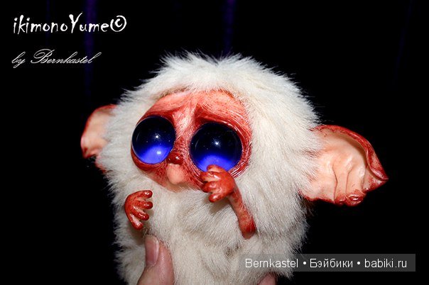 Морская свинка Стюша и еще несколько новых существ