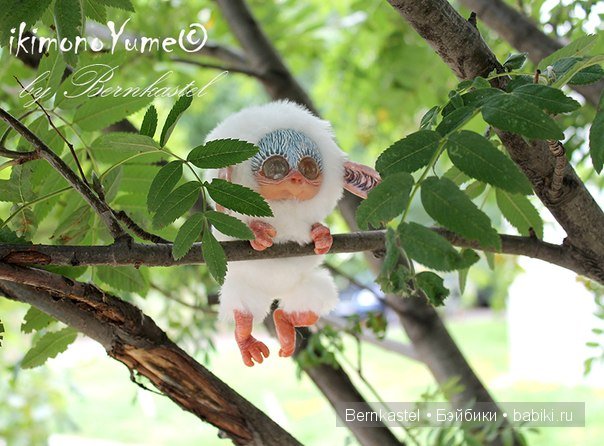 Морская свинка Стюша и еще несколько новых существ (фото 7)