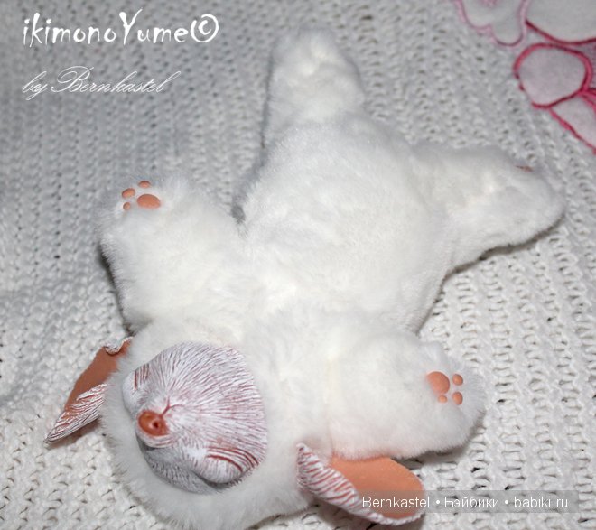 Морская свинка Стюша и еще несколько новых существ