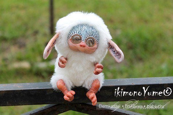 Морская свинка Стюша и еще несколько новых существ