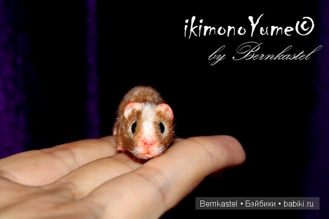 Морская свинка Стюша и еще несколько новых существ