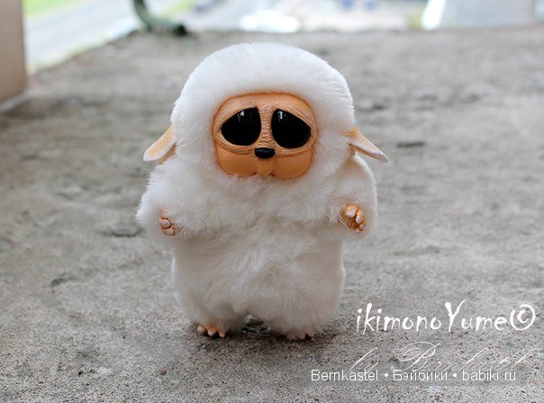 Морская свинка Стюша и еще несколько новых существ