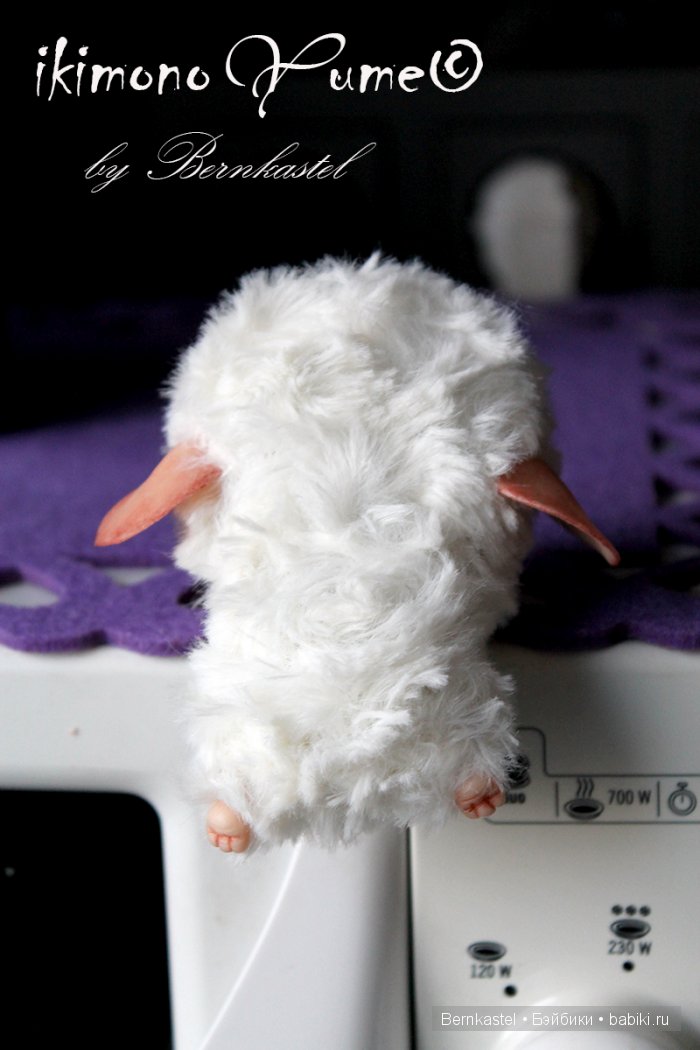 Микро-суселка Сахарок от Бернкастель (фото 9)