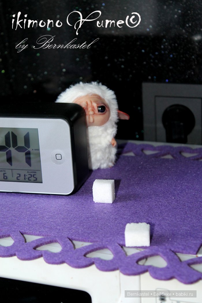 Микро-суселка Сахарок от Бернкастель (фото 2)