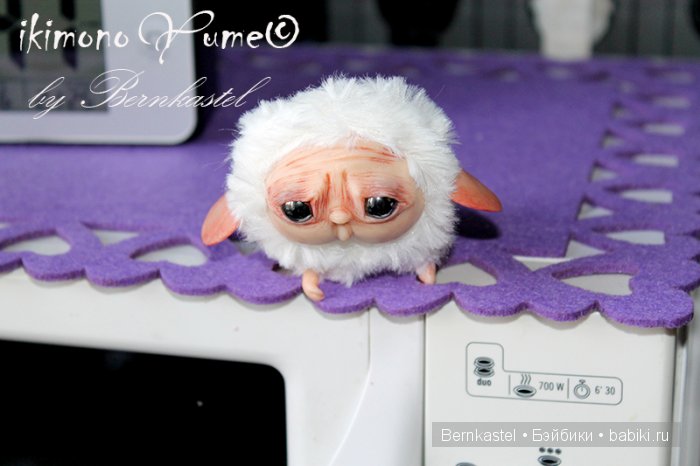 Микро-суселка Сахарок от Бернкастель (фото 6)