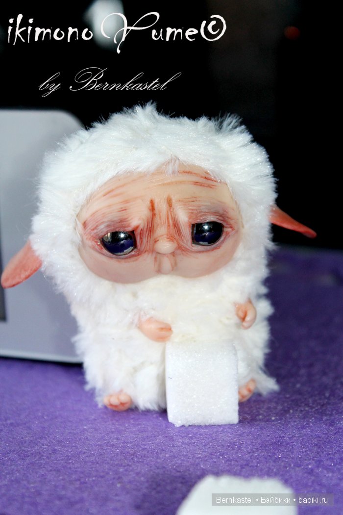 Микро-суселка Сахарок от Бернкастель (фото 4)