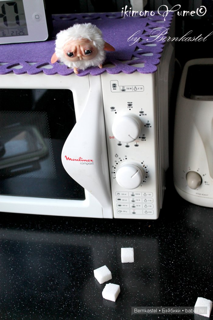 Микро-суселка Сахарок от Бернкастель (фото 7)