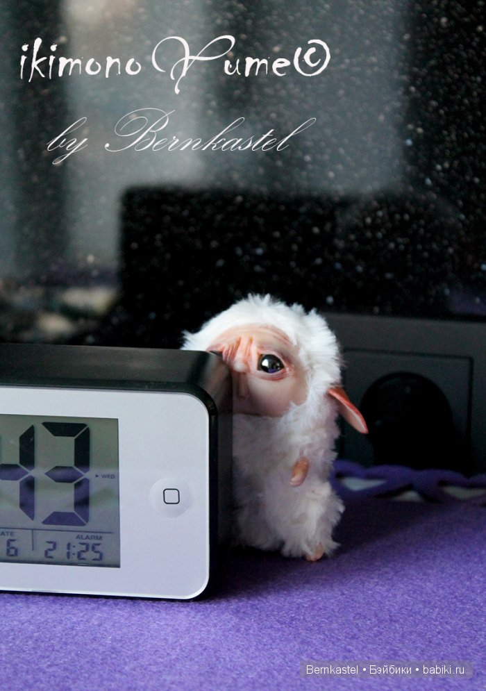 Микро-суселка Сахарок от Бернкастель