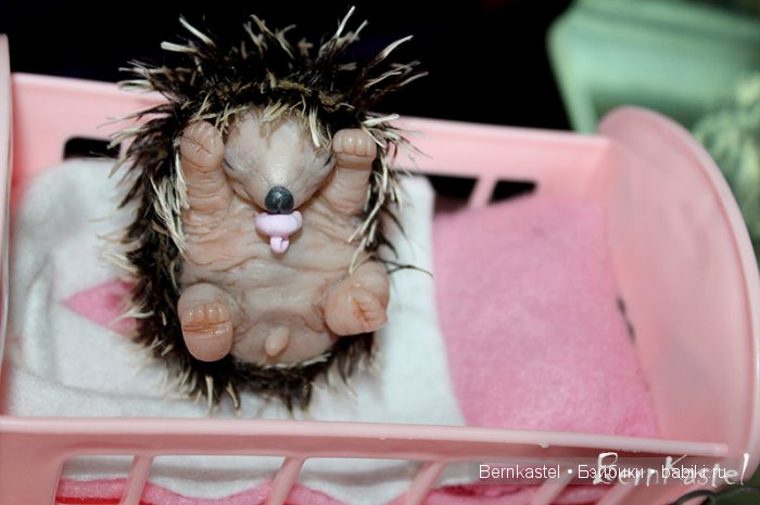 Ёжик для доченьки — Игрушки в смешанной технике (мех и глина): Арт (фото 8)