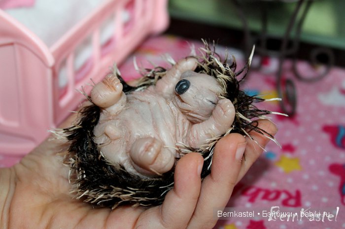 Ёжик для доченьки — Игрушки в смешанной технике (мех и глина): Арт (фото 2)