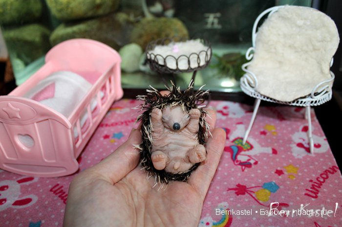 Ёжик для доченьки — Игрушки в смешанной технике (мех и глина): Арт