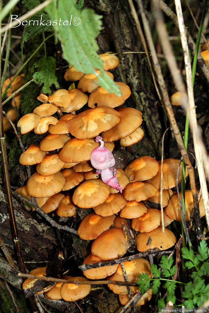 Шарнирная Грибничка. Часть 2 (фото 8)