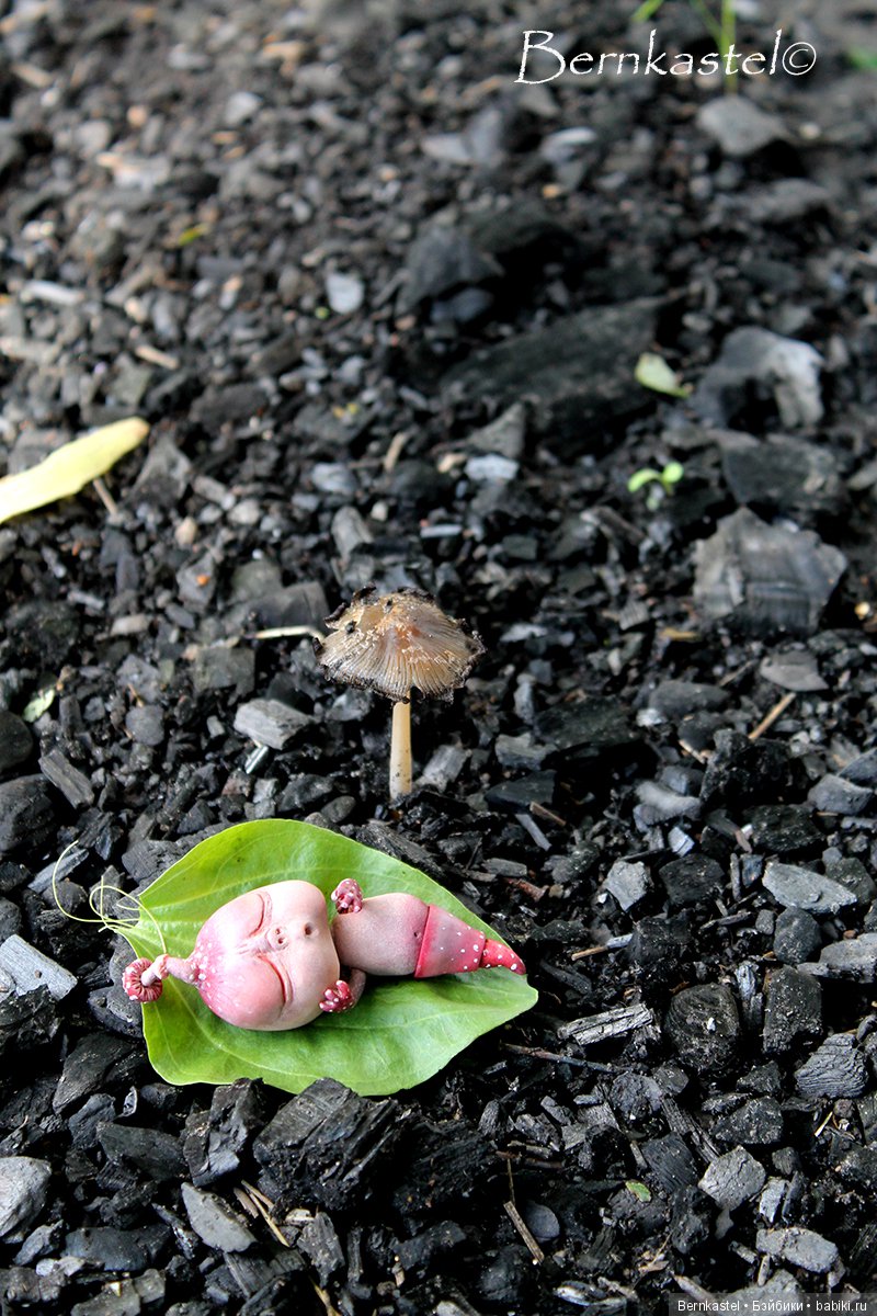 Шарнирная Грибничка. Часть 2 (фото 10)