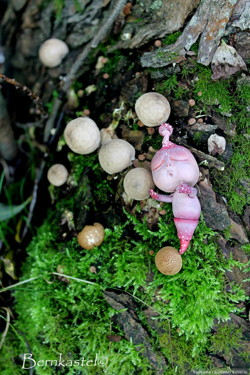 Шарнирная Грибничка. Часть 2 (фото 2)