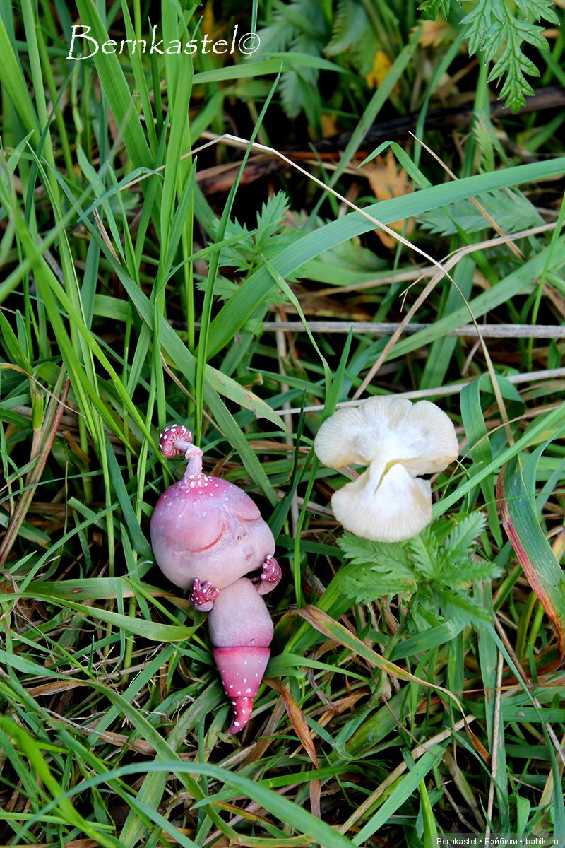 Шарнирная Грибничка. Часть 2 (фото 5)