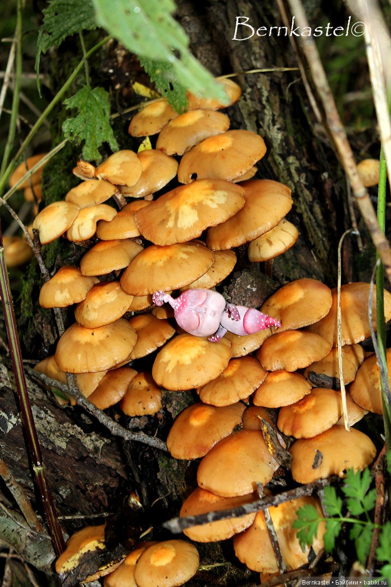 Шарнирная Грибничка. Часть 2 (фото 9)