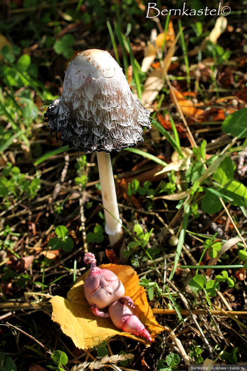 Шарнирная Грибничка. Часть 2