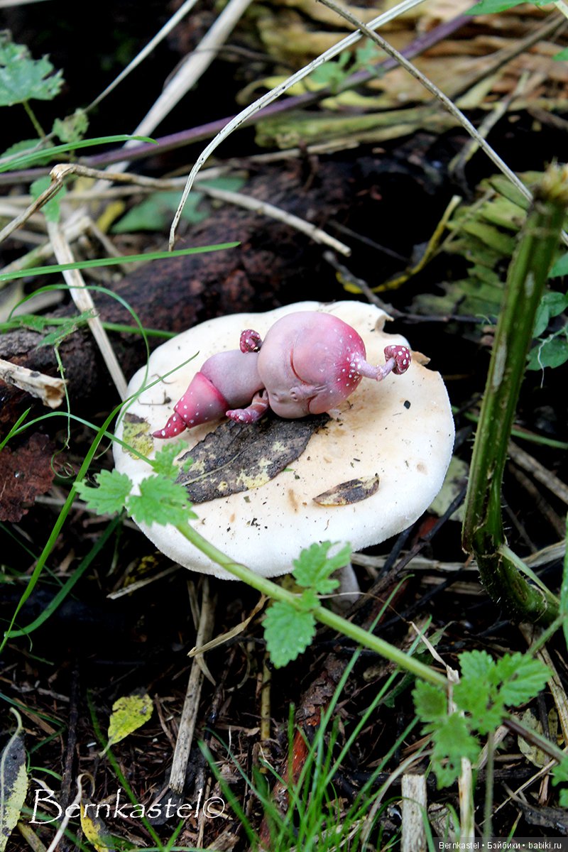 Шарнирная Грибничка. Часть 2 (фото 6)