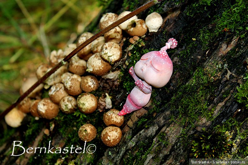 Шарнирная Грибничка. Часть 2 (фото 4)