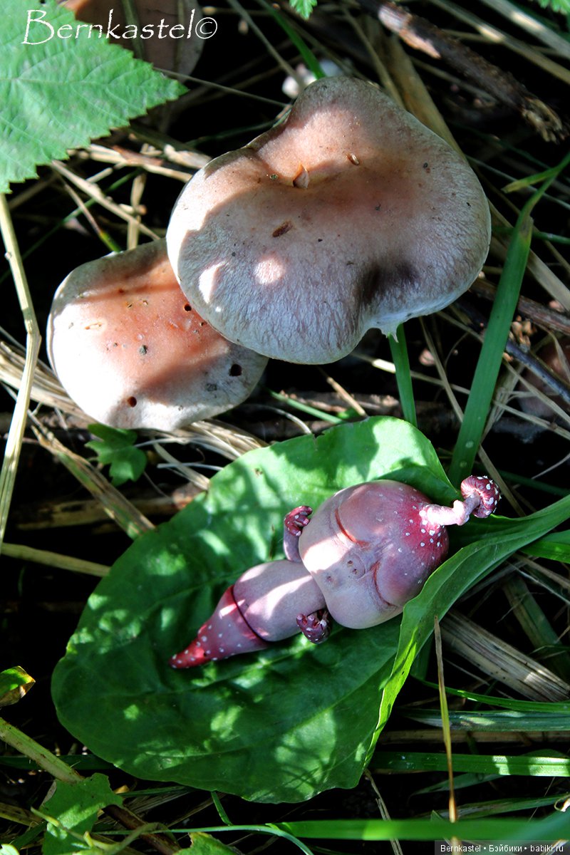 Шарнирная Грибничка. Часть 2 (фото 3)