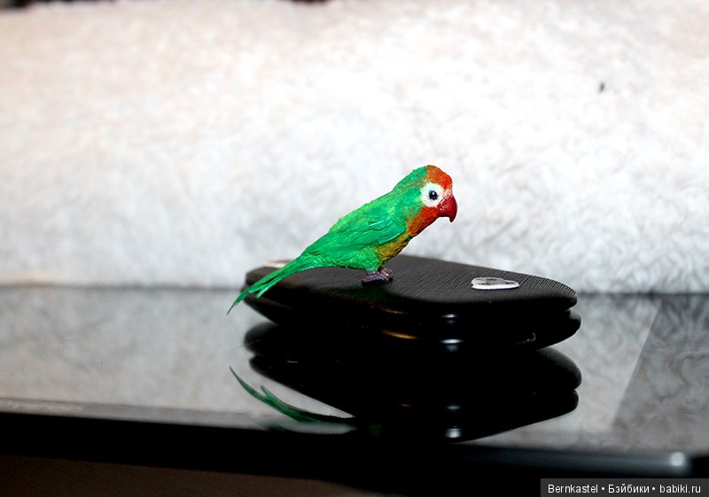 Миниатюрный попугайчик — Игрушки в смешанной технике (мех и глина): Арт (фото 6)