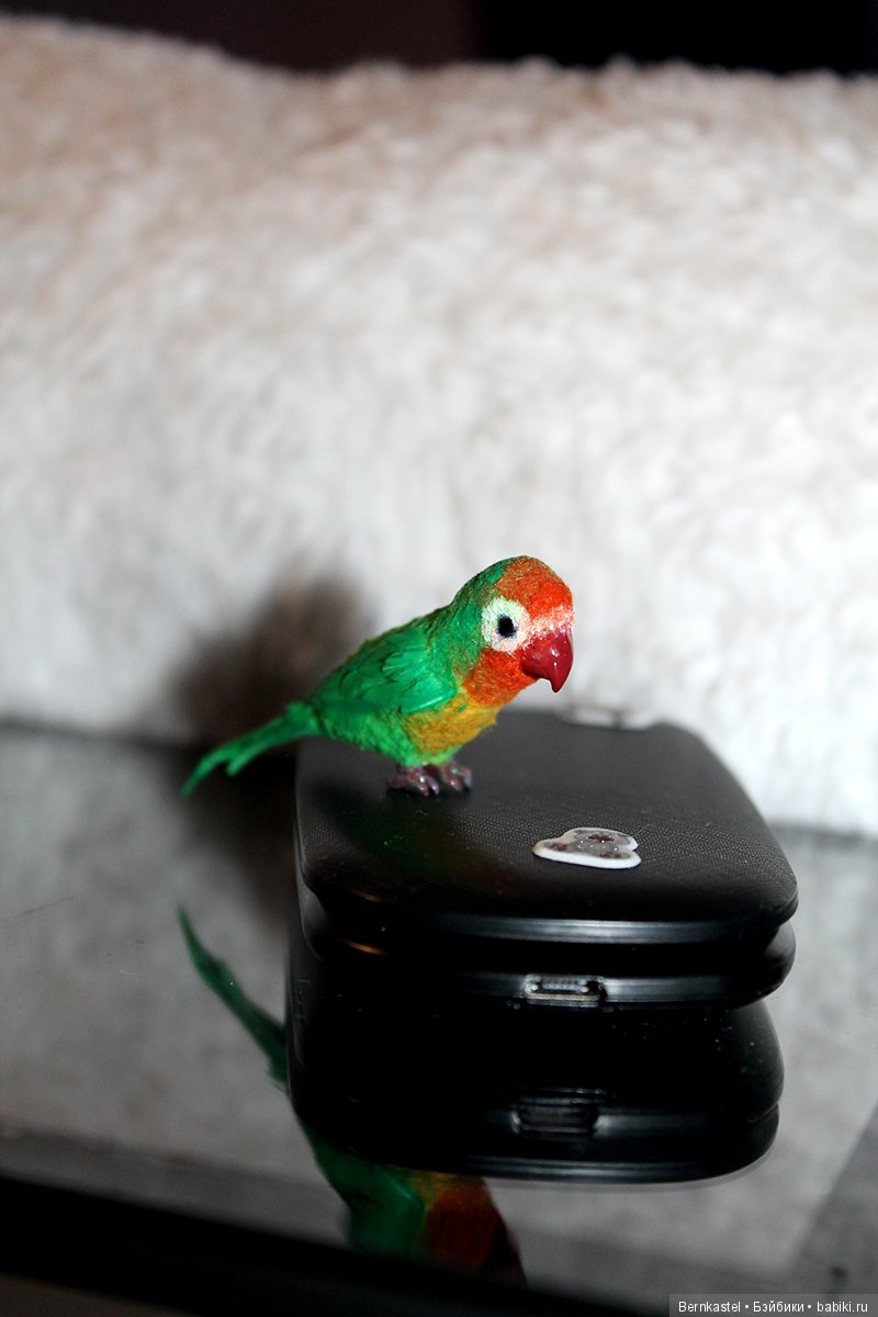 Миниатюрный попугайчик — Игрушки в смешанной технике (мех и глина): Арт (фото 5)
