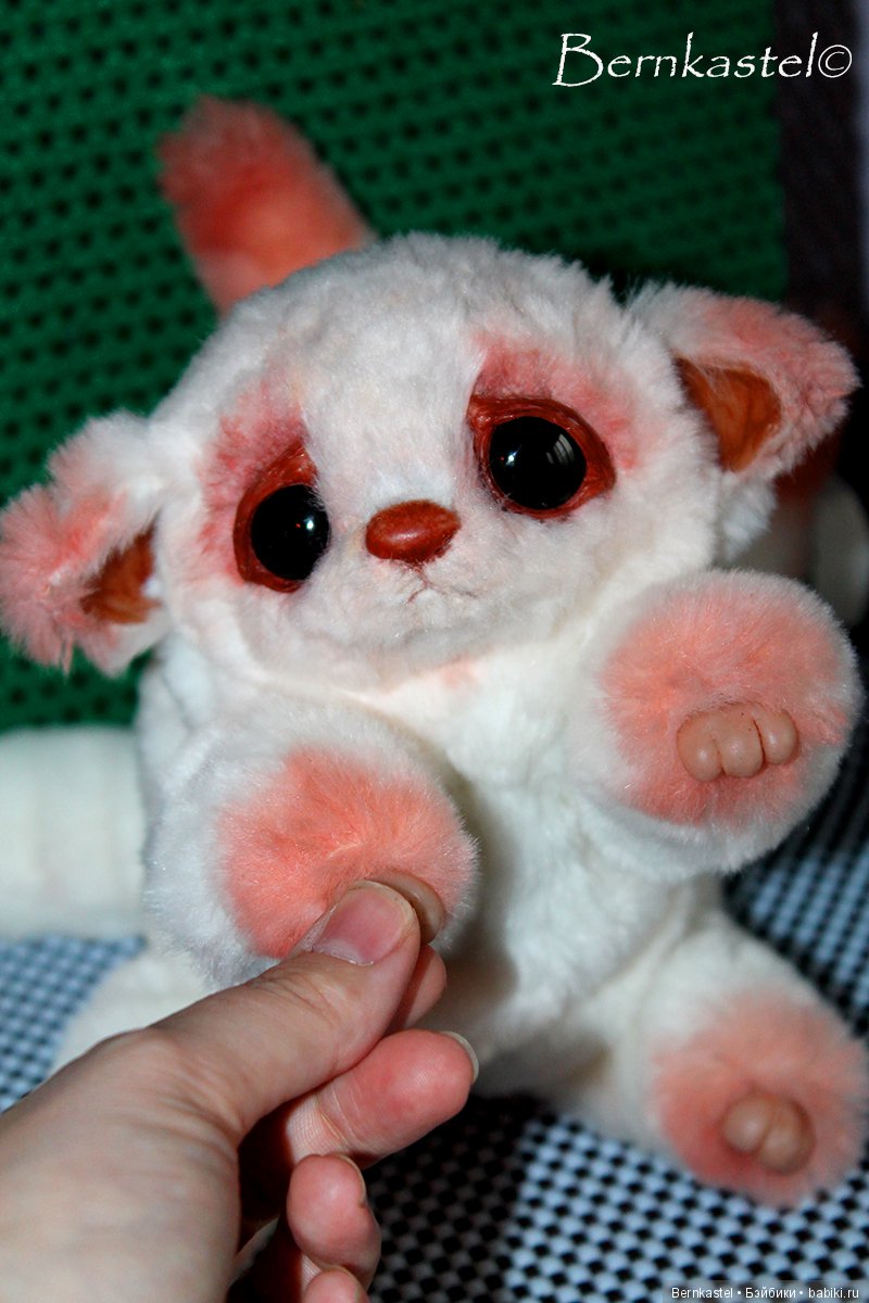 Обновленная Физана со своими малышами (фото 6)