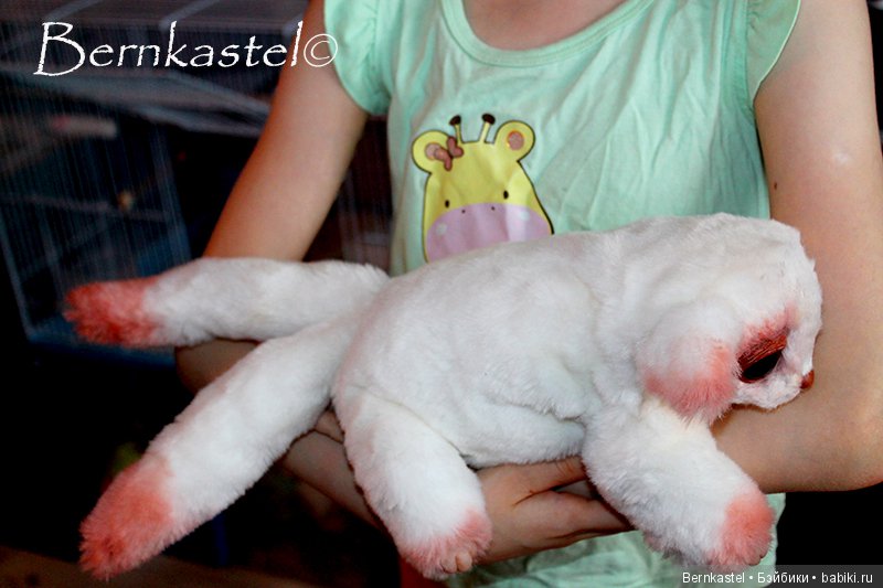 Обновленная Физана со своими малышами (фото 8)