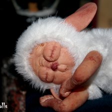 Сладко спящая суселка Мидусся