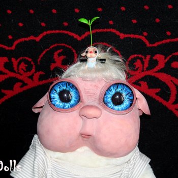 Самая большая и самая маленькая суселка