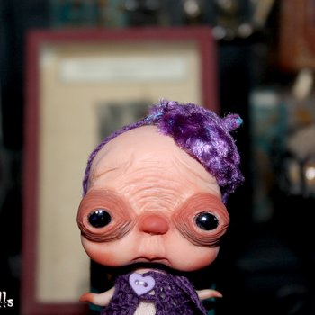 Любимчик приоделся