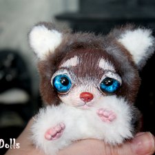 Чихуашка Чуня