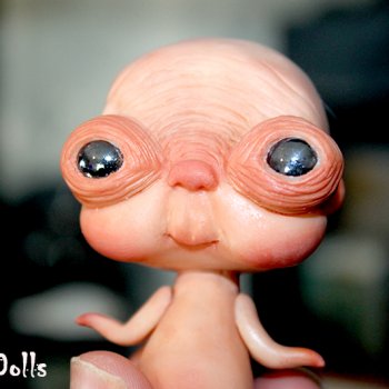 Любимчик Пончик